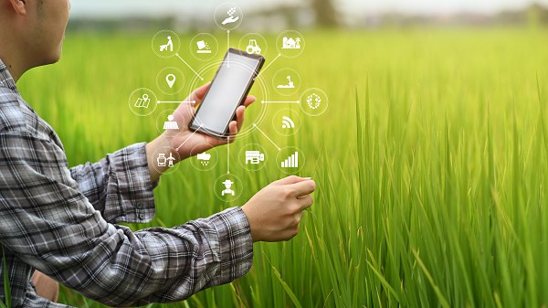 Agricultura digital: Como a tecnologia tem impactado a colheita no Brasil
