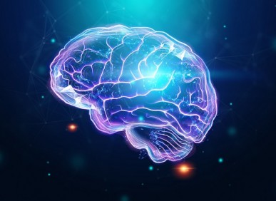 6 exercícios para malhar seu cérebro e evitar doenças, segundo a neurociência