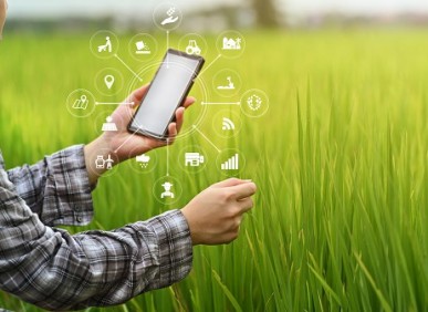 Agricultura digital: Como a tecnologia tem impactado a colheita no Brasil